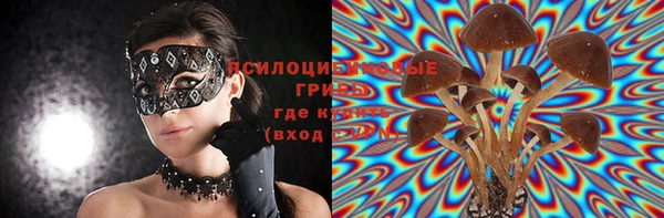 гидра Балабаново