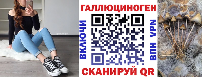 Псилоцибиновые грибы Psilocybe  Карпинск 
