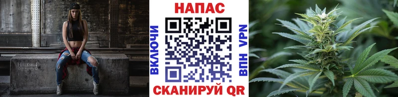 Каннабис планчик  Карпинск 
